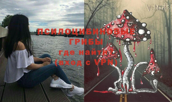 mdpv Арсеньев